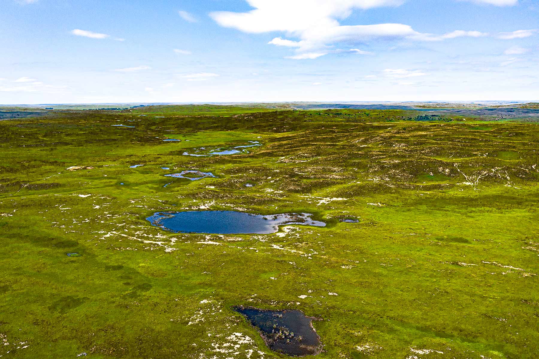 Duck Bar Ranch property picture 74 of 140