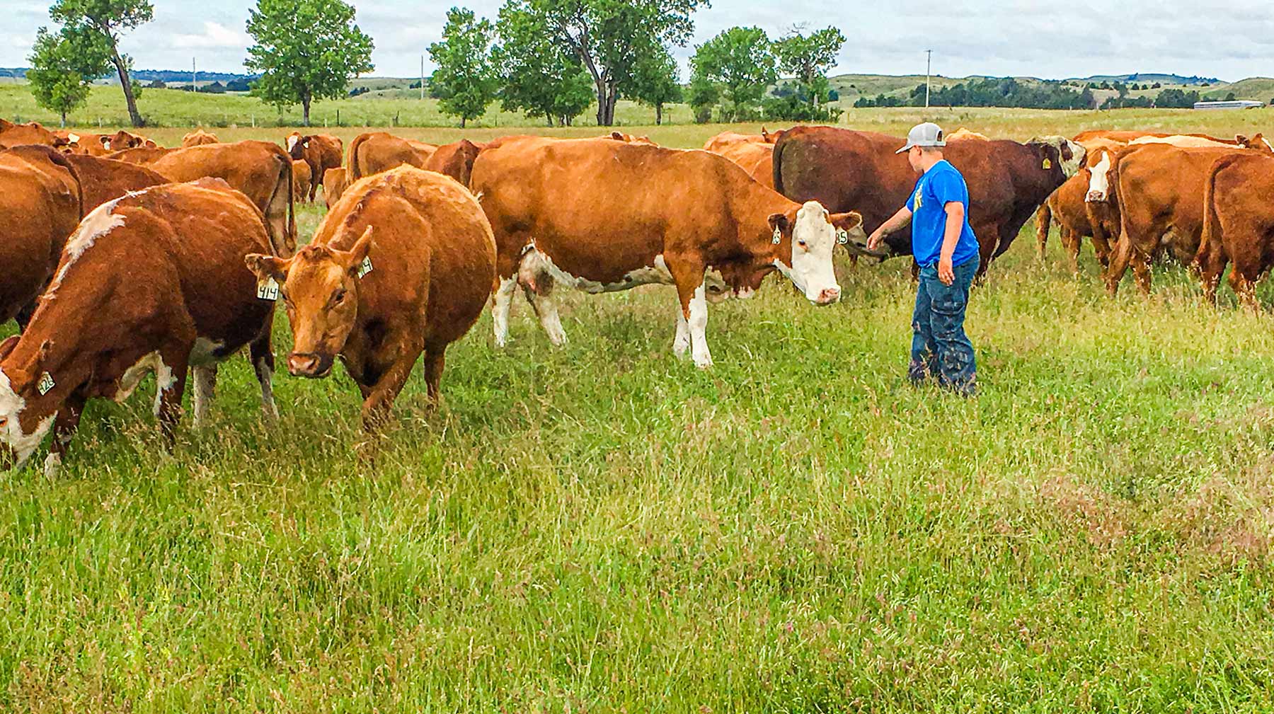 Duck Bar Ranch property picture 24 of 140