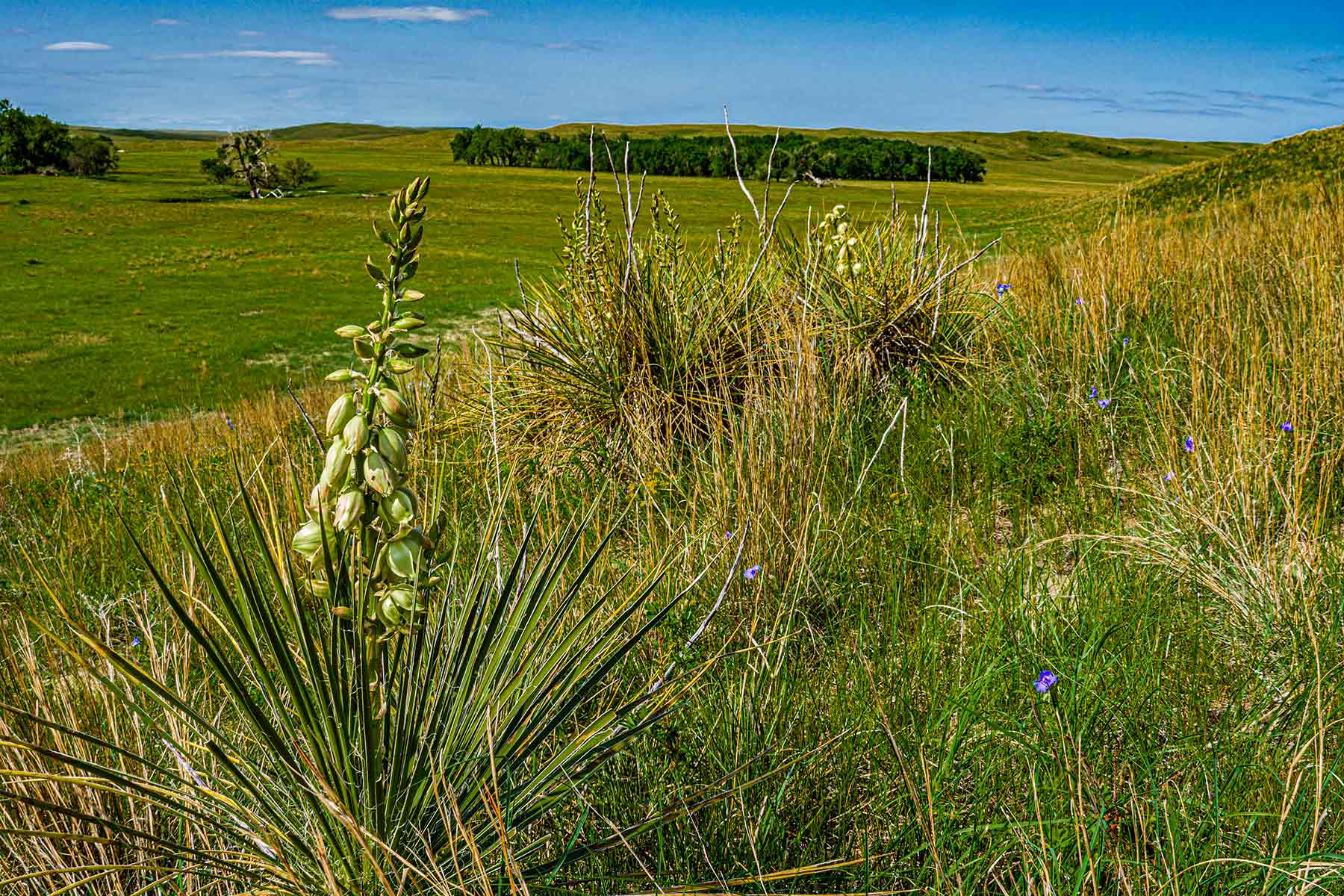 Duck Bar Ranch property picture 107 of 140