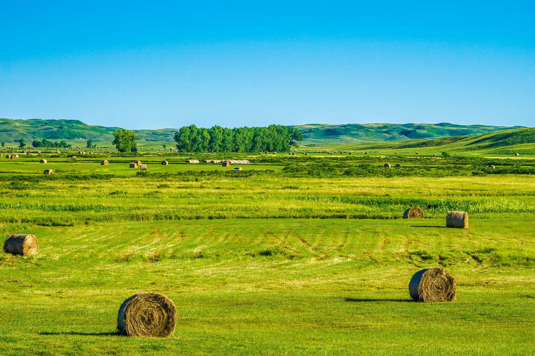 Duck Bar Ranch property picture 118 of 140