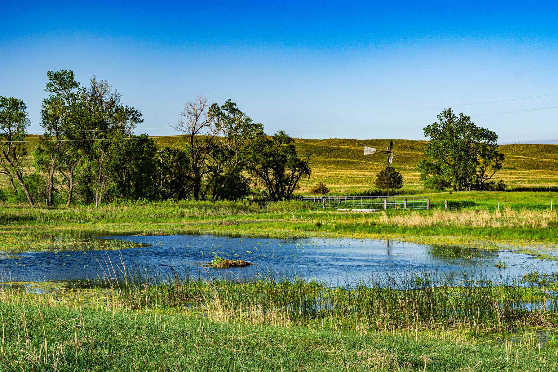 Duck Bar Ranch property picture 32 of 140