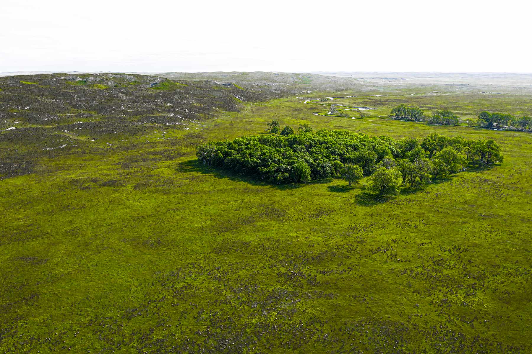 Duck Bar Ranch property picture 42 of 140