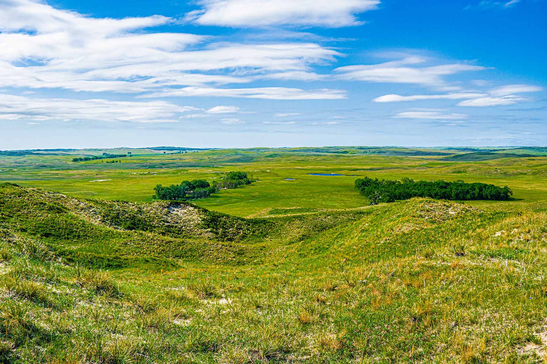 Duck Bar Ranch property picture 110 of 140
