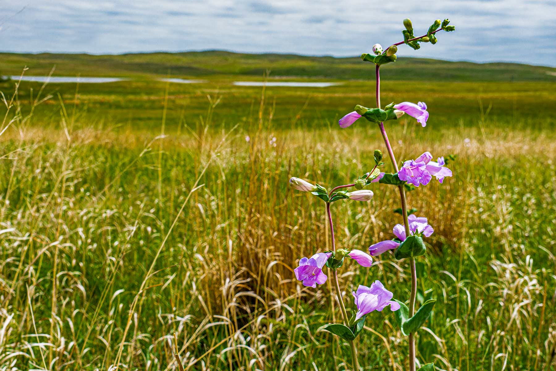 Duck Bar Ranch property picture 96 of 140