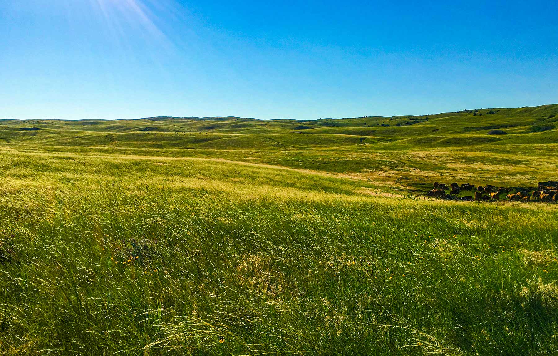 Duck Bar Ranch property picture 37 of 140