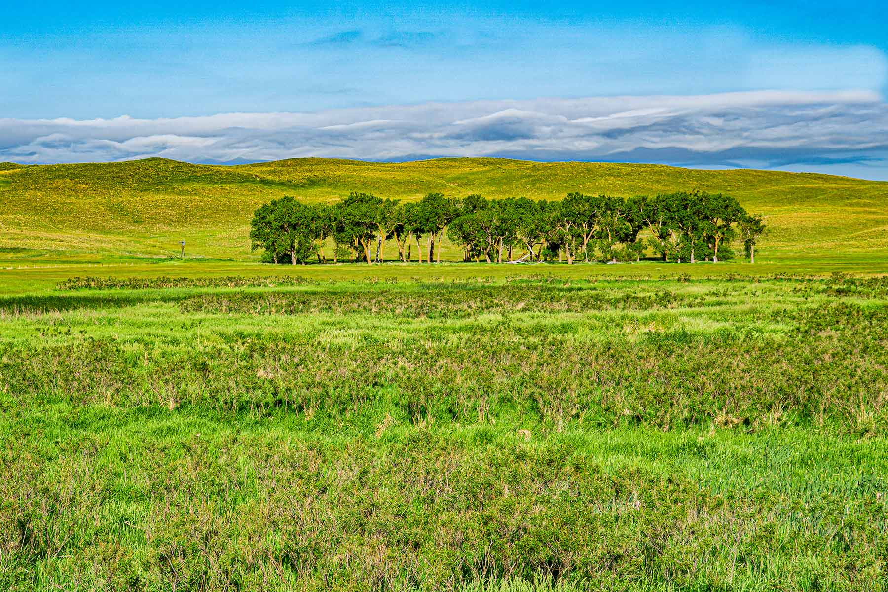 Duck Bar Ranch property picture 106 of 140