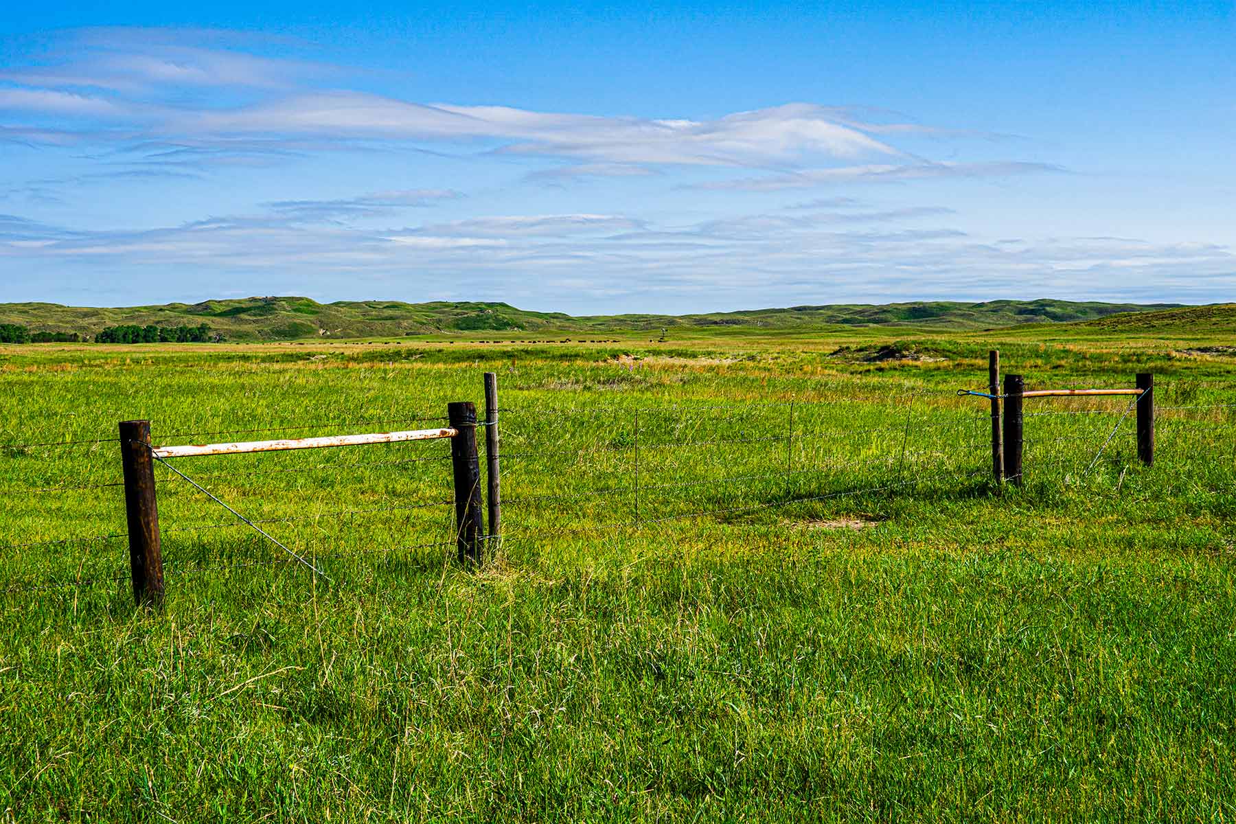 Duck Bar Ranch property picture 59 of 140