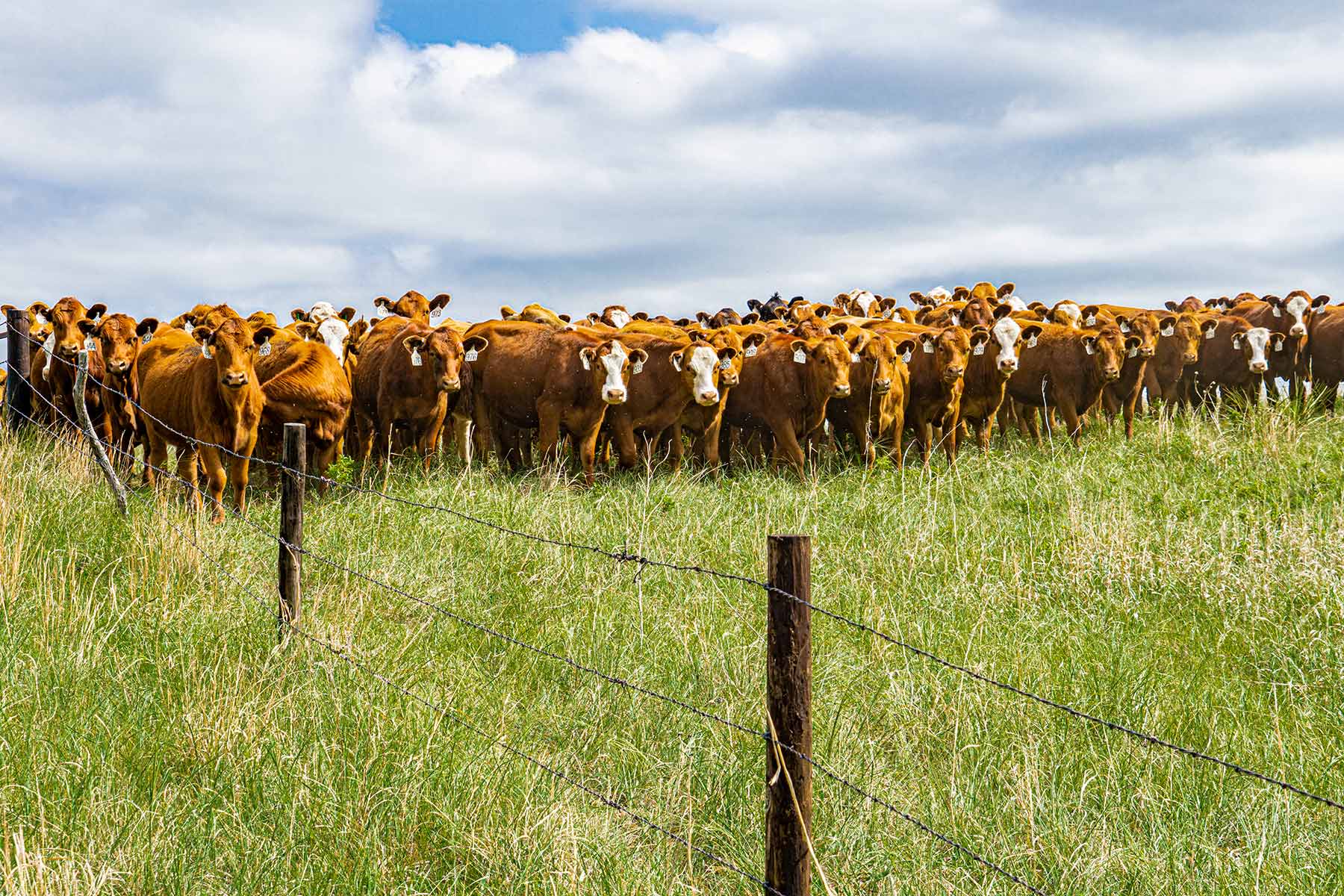 Duck Bar Ranch property picture 18 of 140