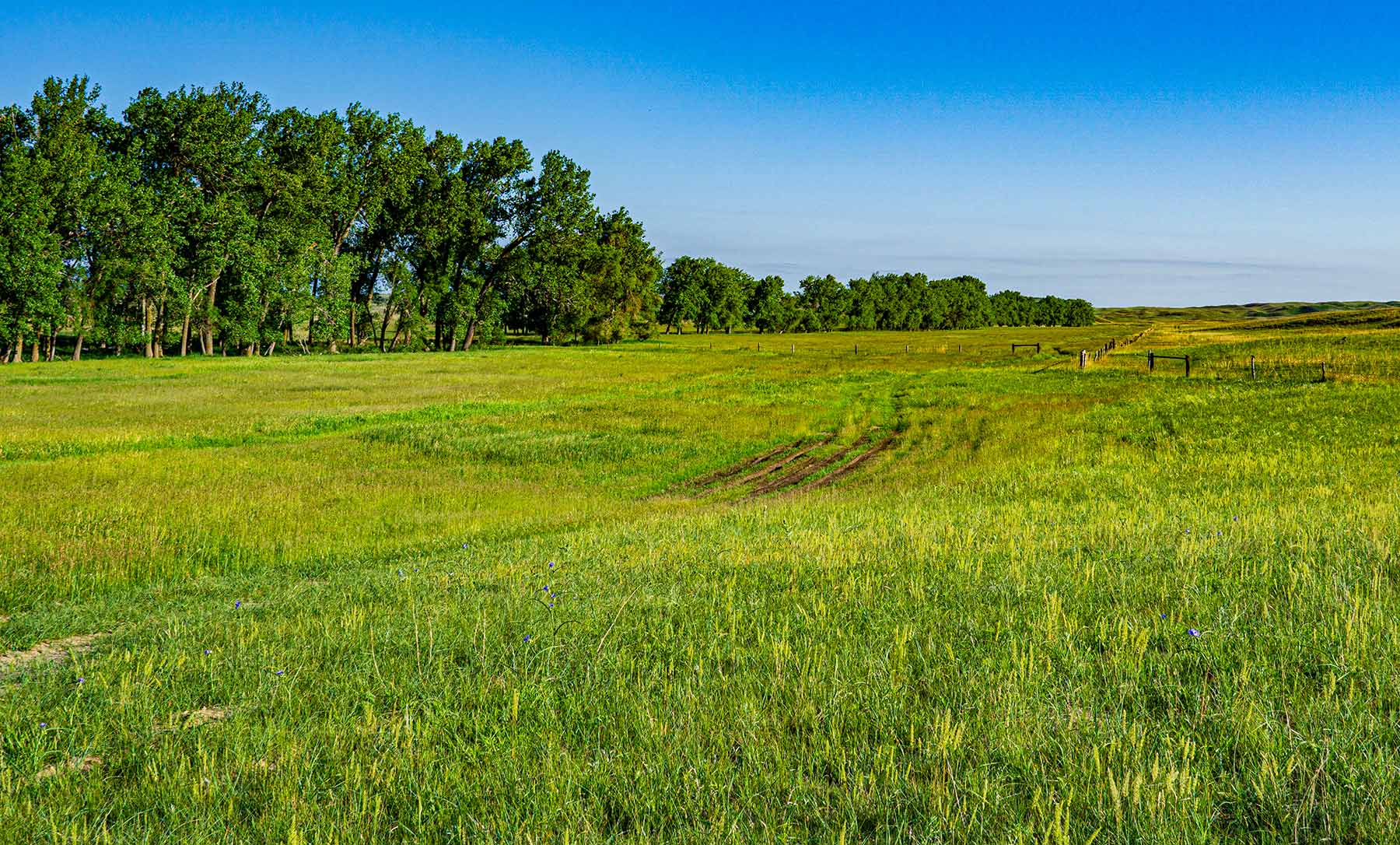 Duck Bar Ranch property picture 97 of 140
