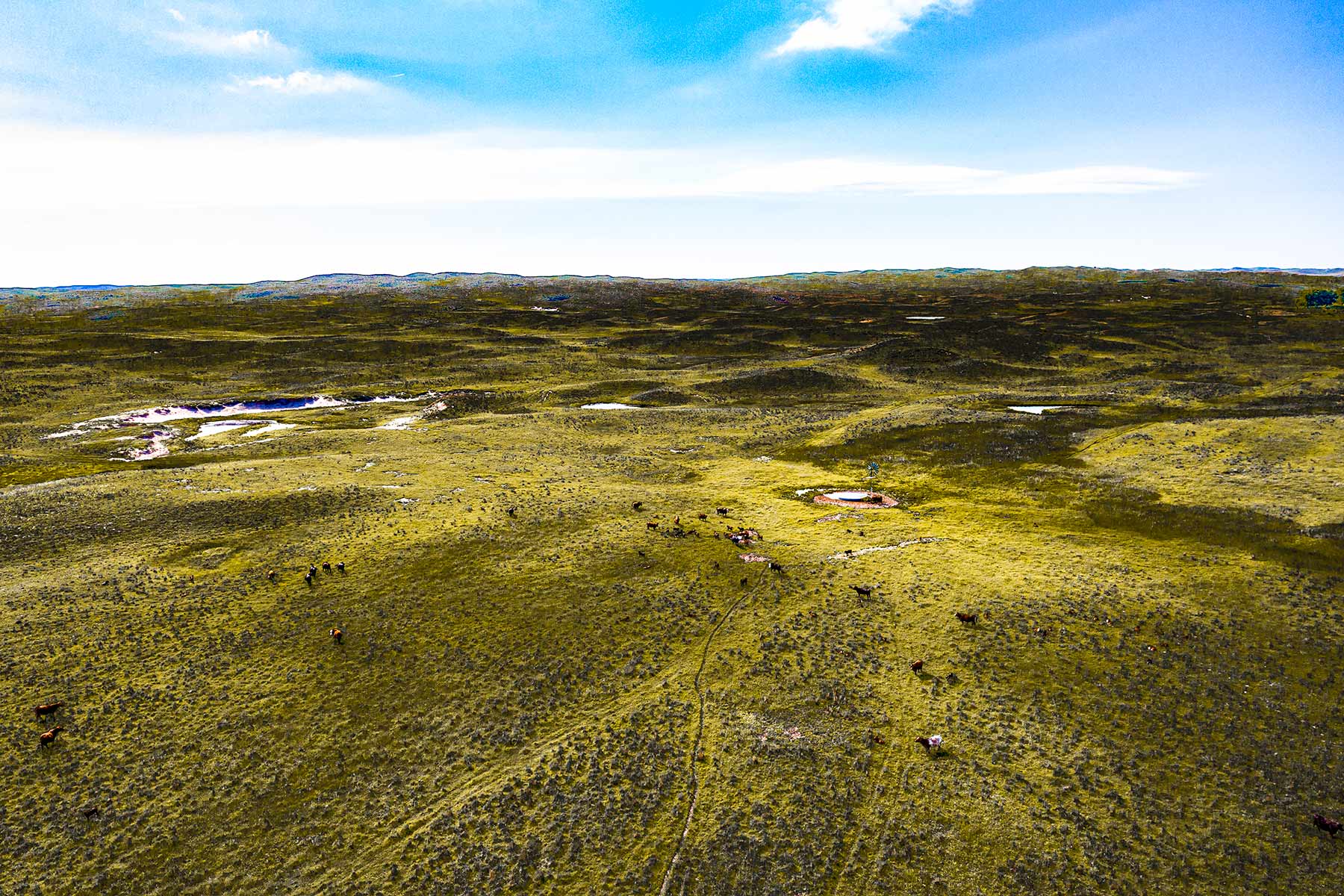 Duck Bar Ranch property picture 72 of 140