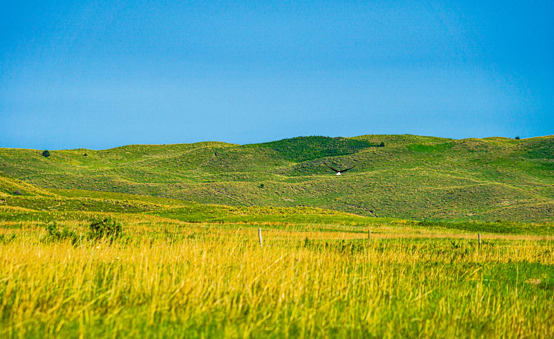 Duck Bar Ranch property picture 49 of 140