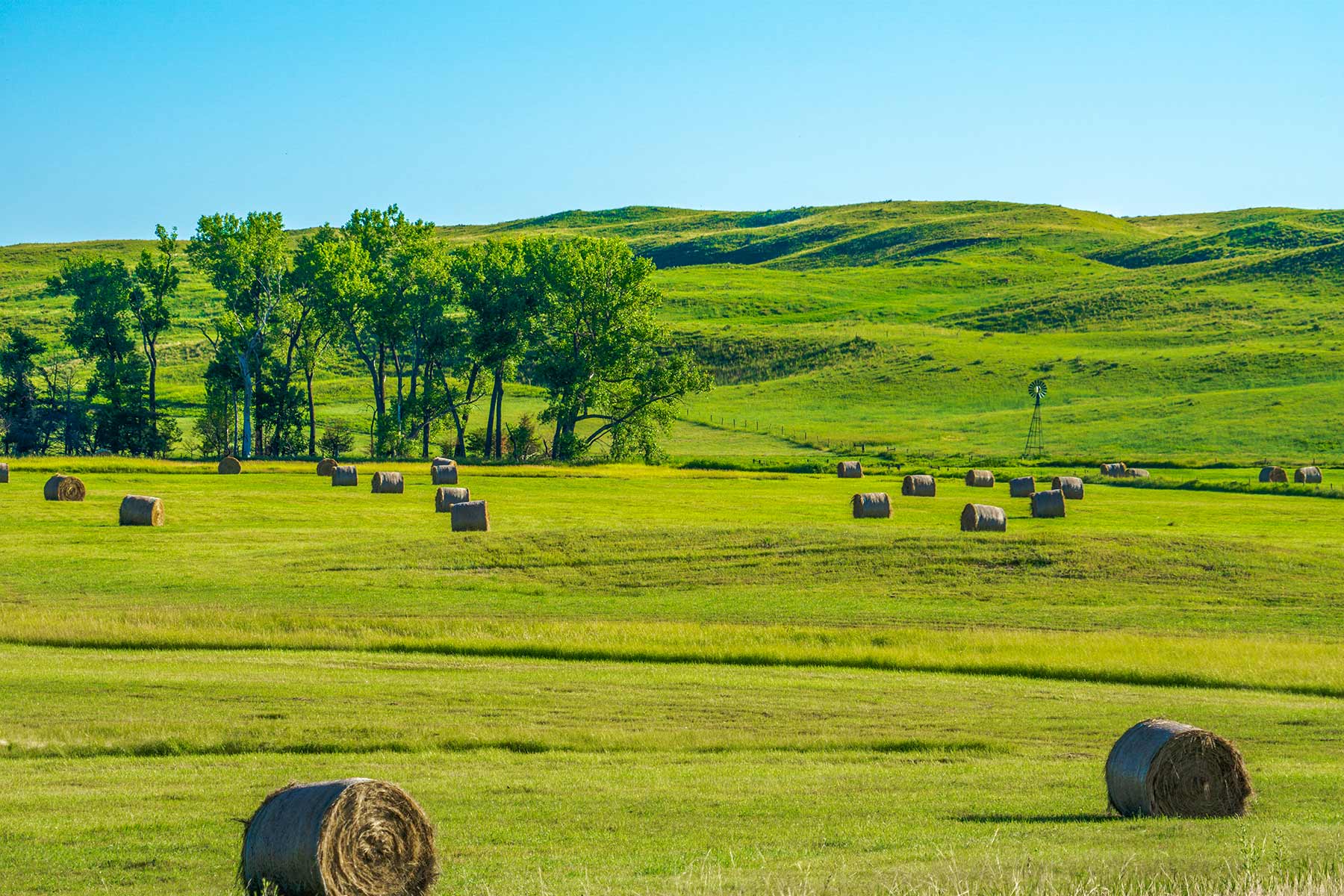 Duck Bar Ranch property picture 63 of 140