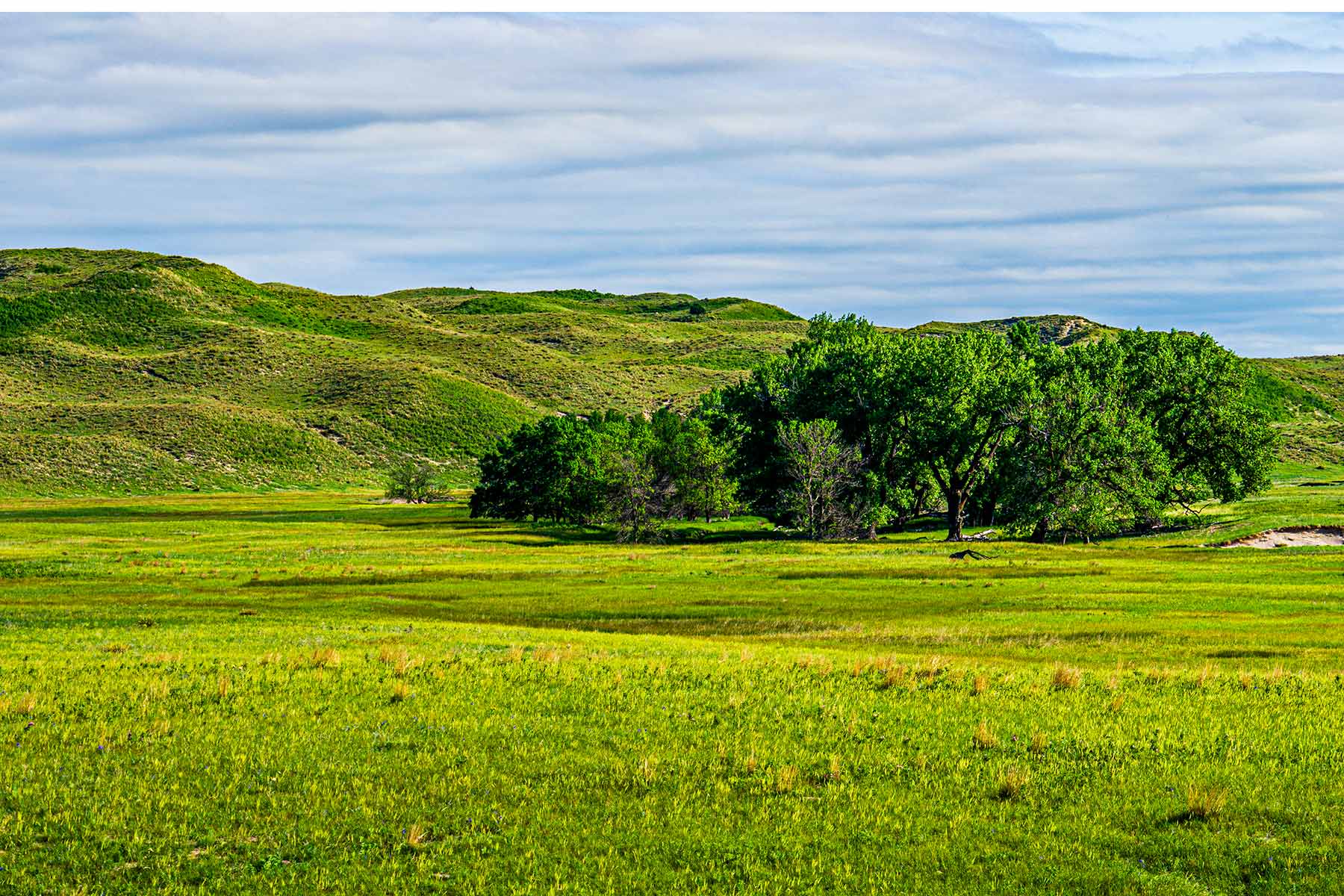 Duck Bar Ranch property picture 115 of 140