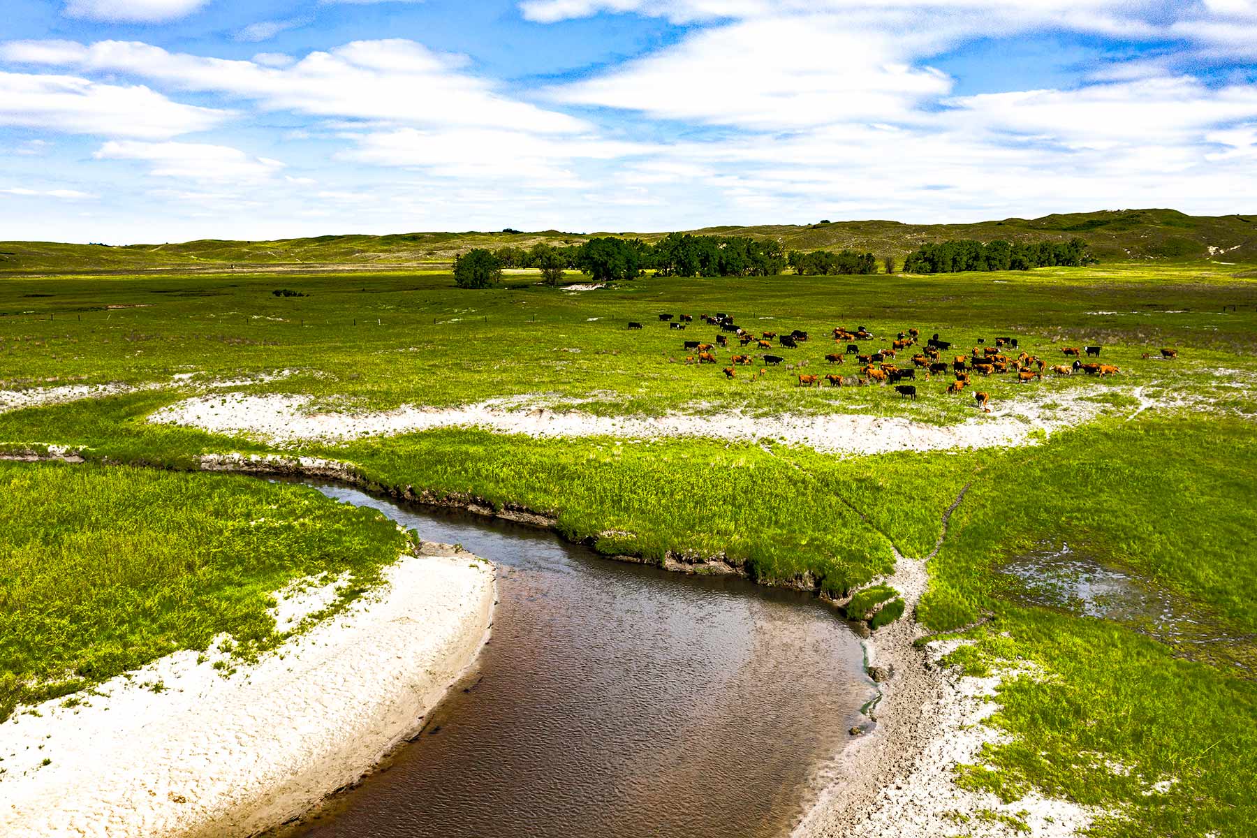 Duck Bar Ranch property picture 7 of 140