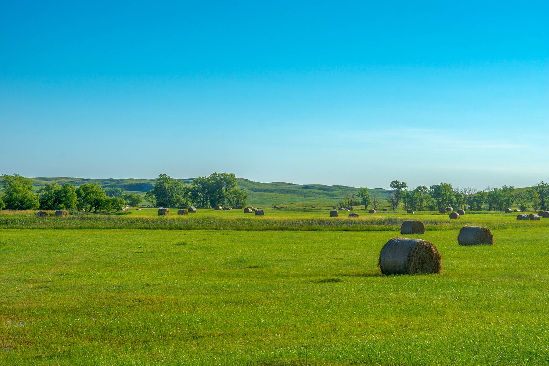 Duck Bar Ranch property picture 138 of 140
