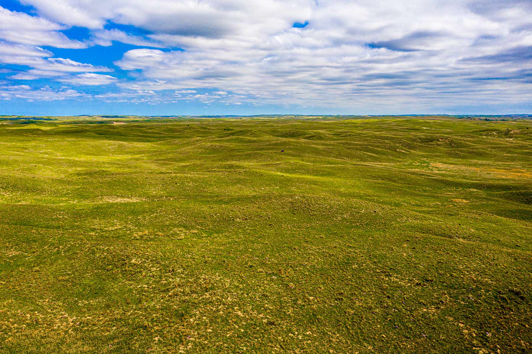 Duck Bar Ranch property picture 101 of 140