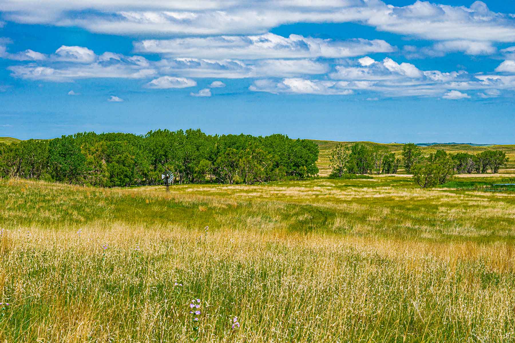 Duck Bar Ranch property picture 130 of 140