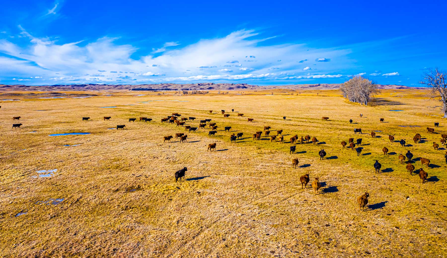 Duck Bar Ranch property picture 135 of 140