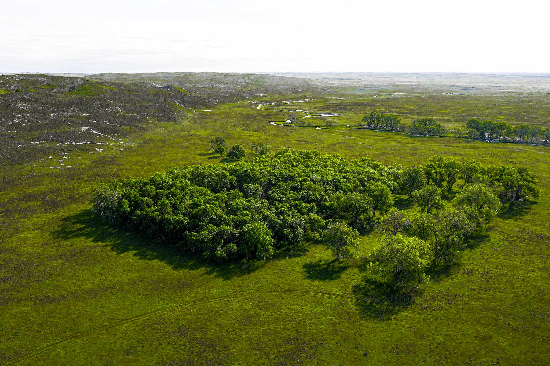 Duck Bar Ranch property picture 66 of 140