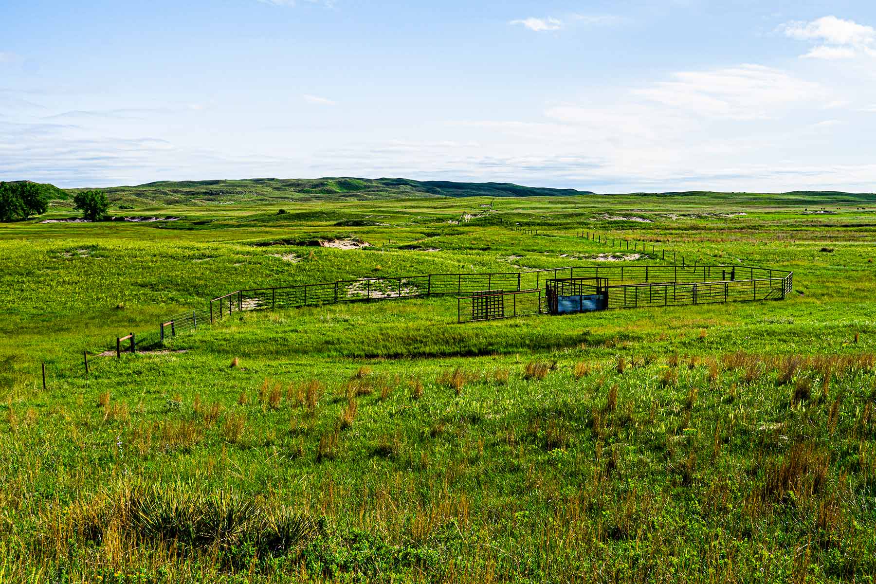 Duck Bar Ranch property picture 69 of 140