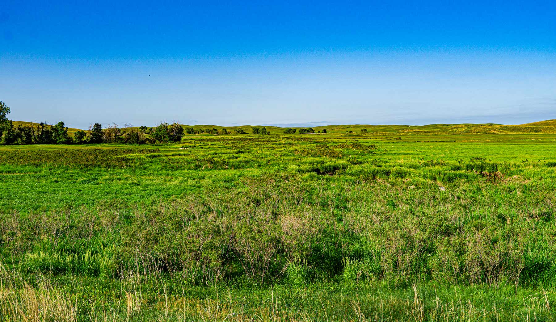 Duck Bar Ranch property picture 64 of 140