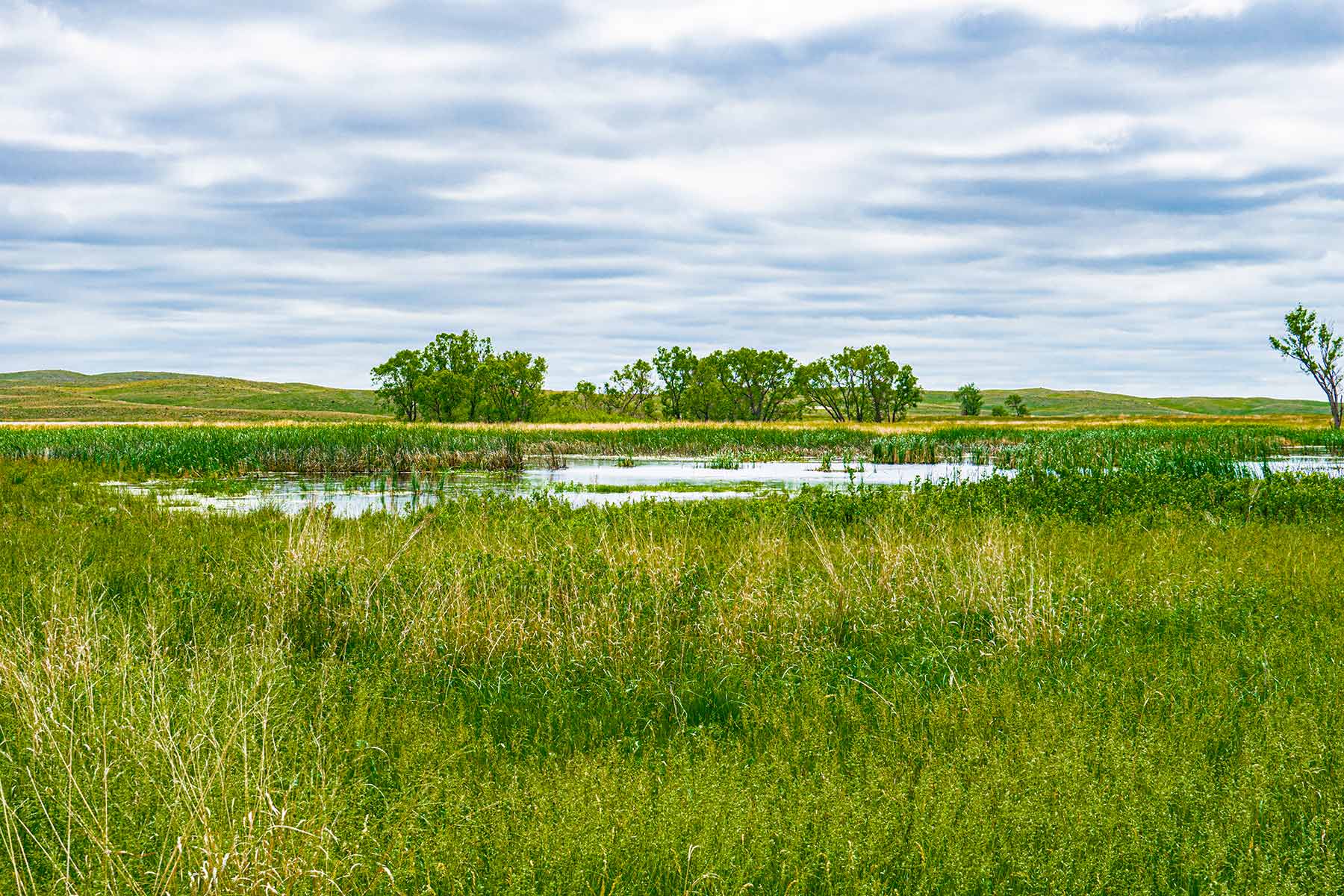 Duck Bar Ranch property picture 55 of 140