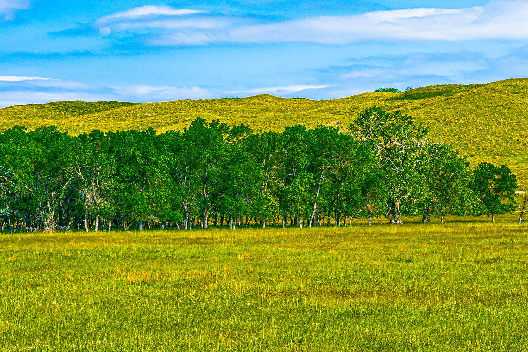 Duck Bar Ranch property picture 87 of 140