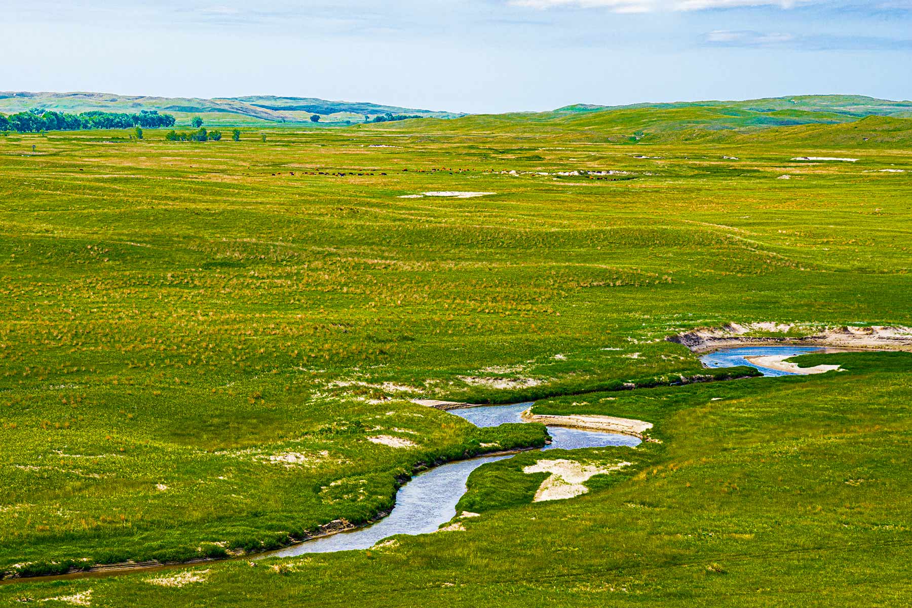 Duck Bar Ranch property picture 88 of 140