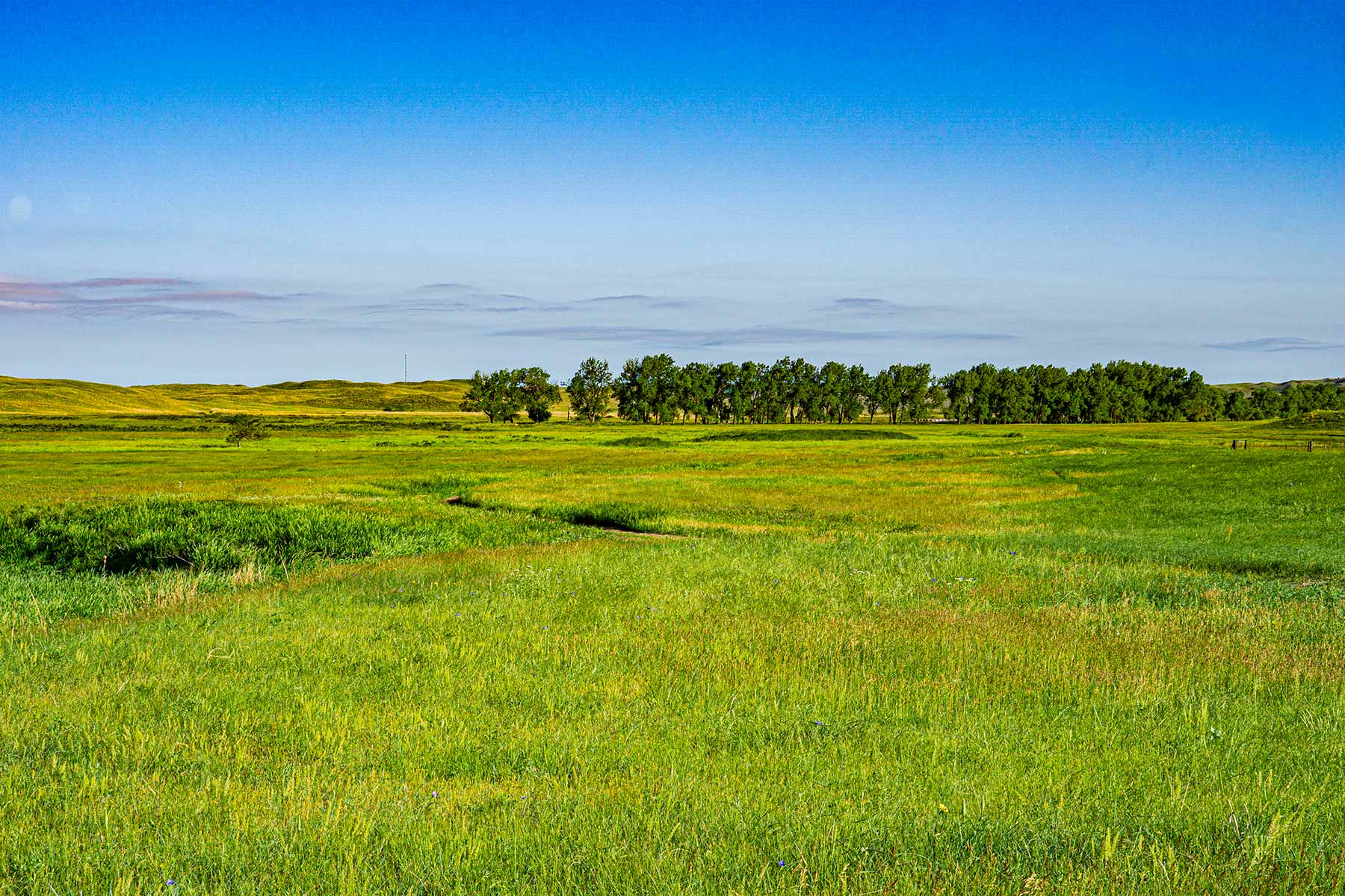 Duck Bar Ranch property picture 81 of 140
