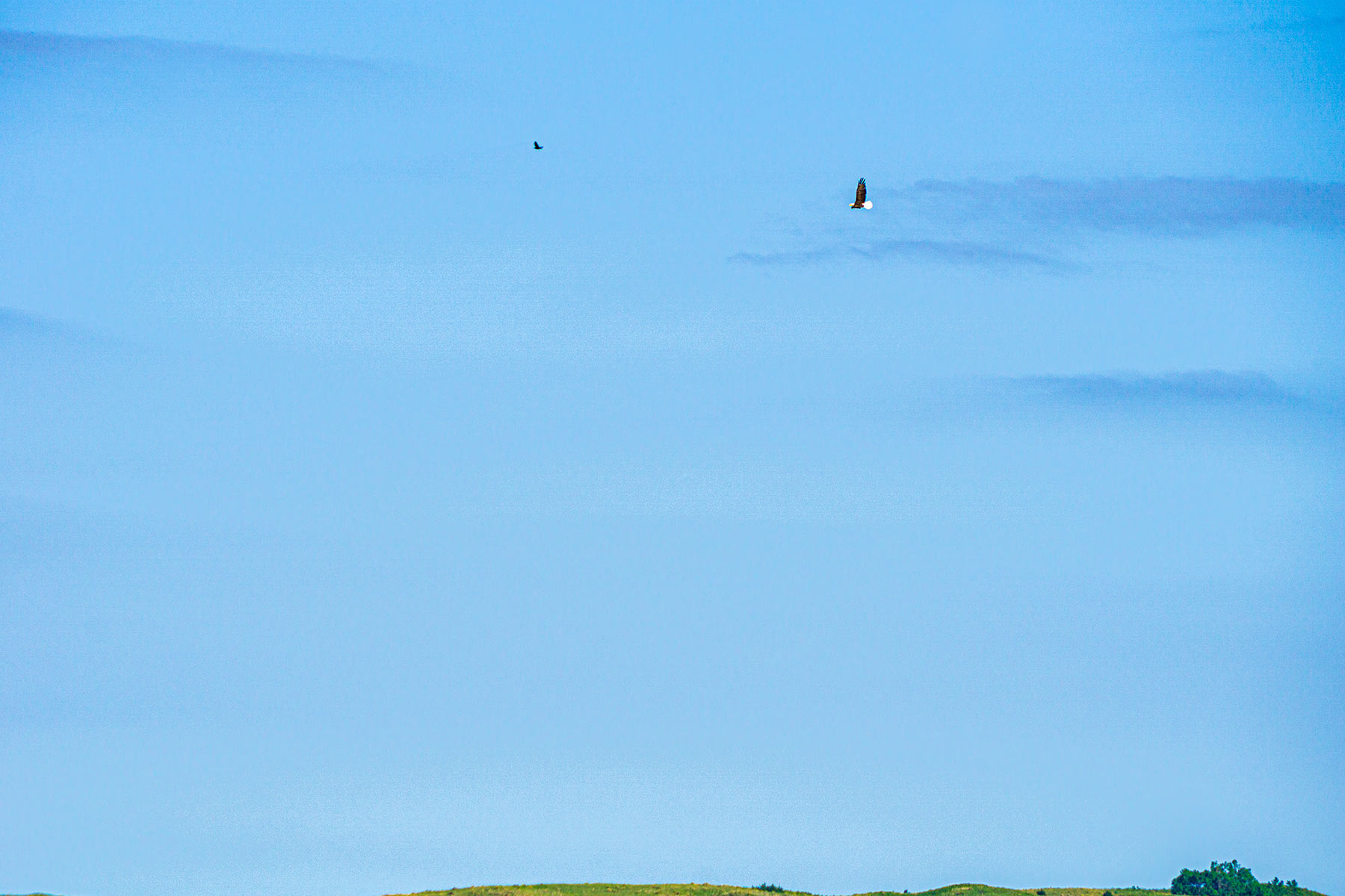 Duck Bar Ranch property picture 134 of 140