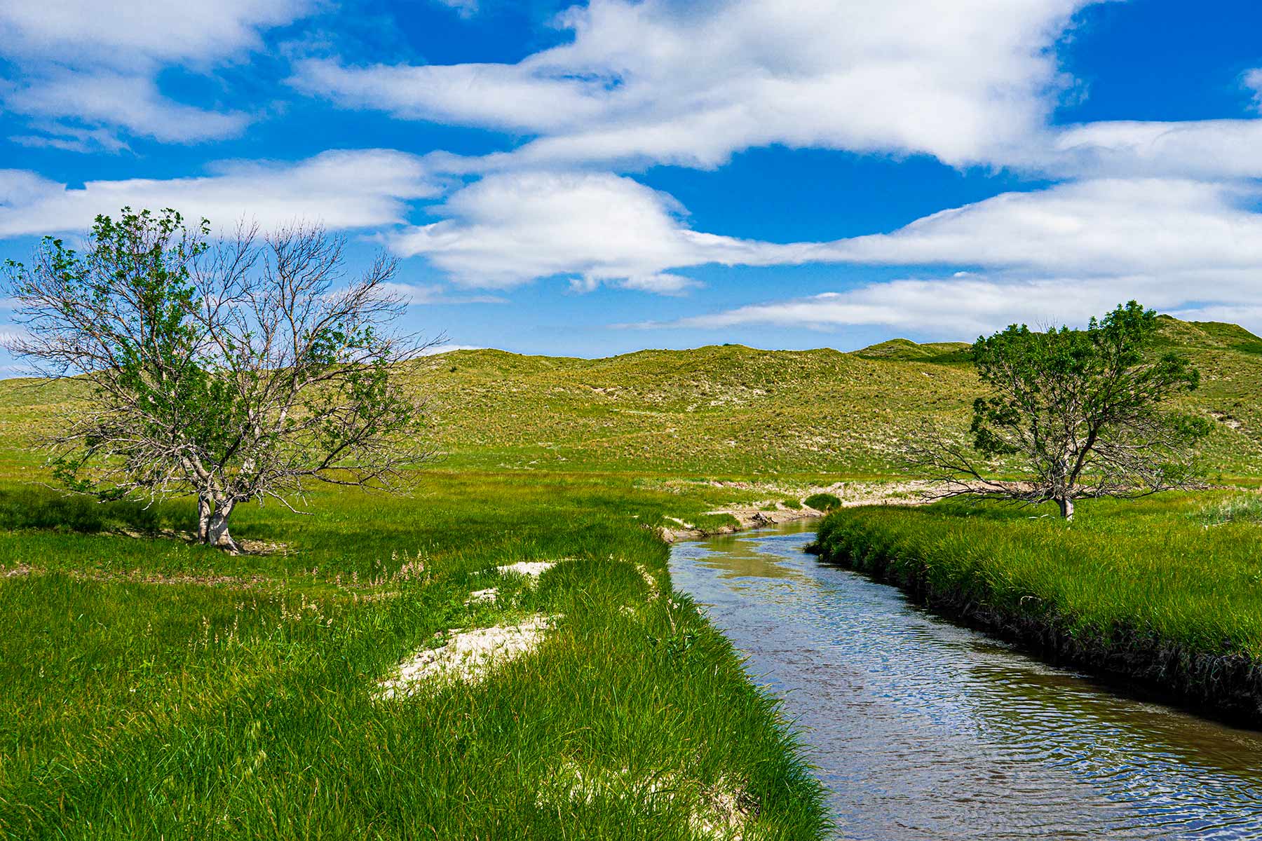 Duck Bar Ranch property picture 92 of 140