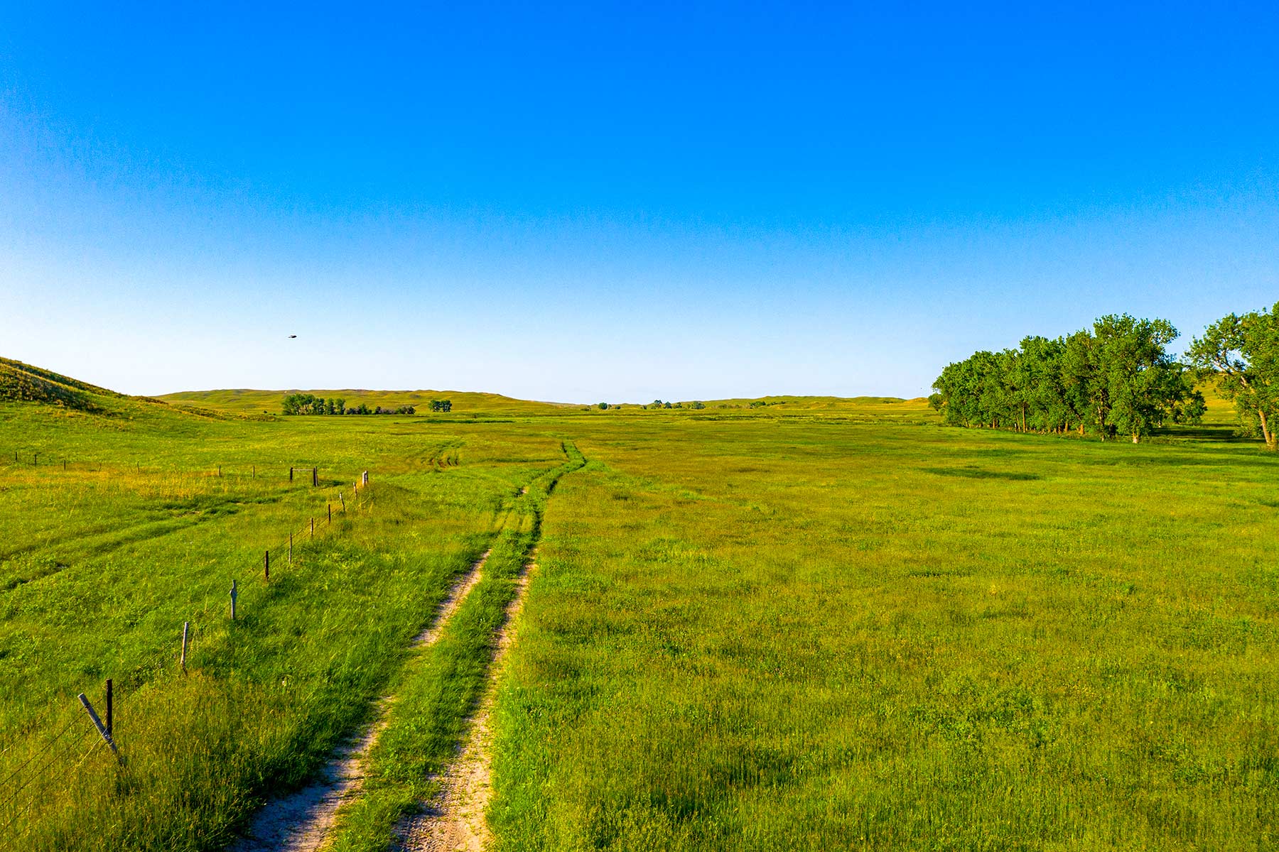 Duck Bar Ranch property picture 33 of 140