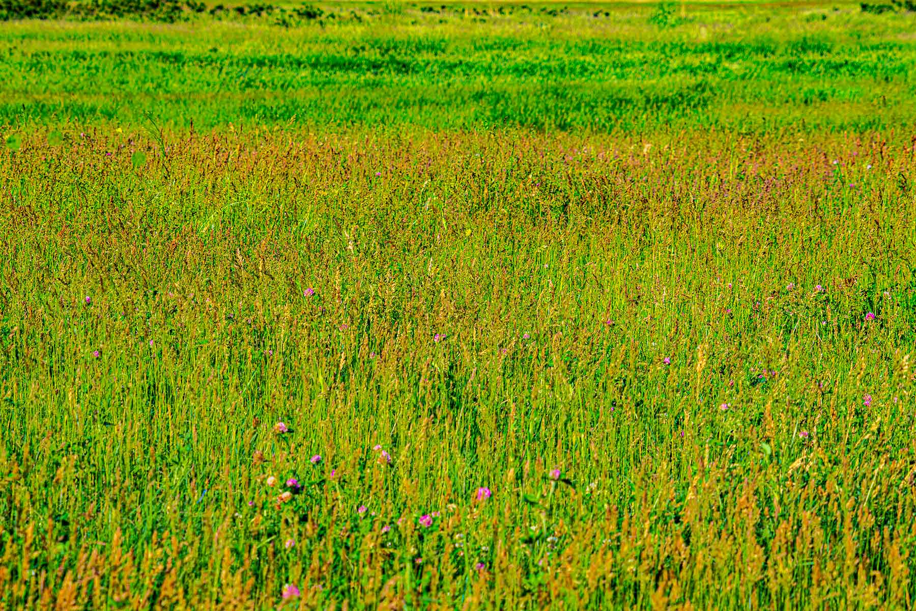 Duck Bar Ranch property picture 108 of 140