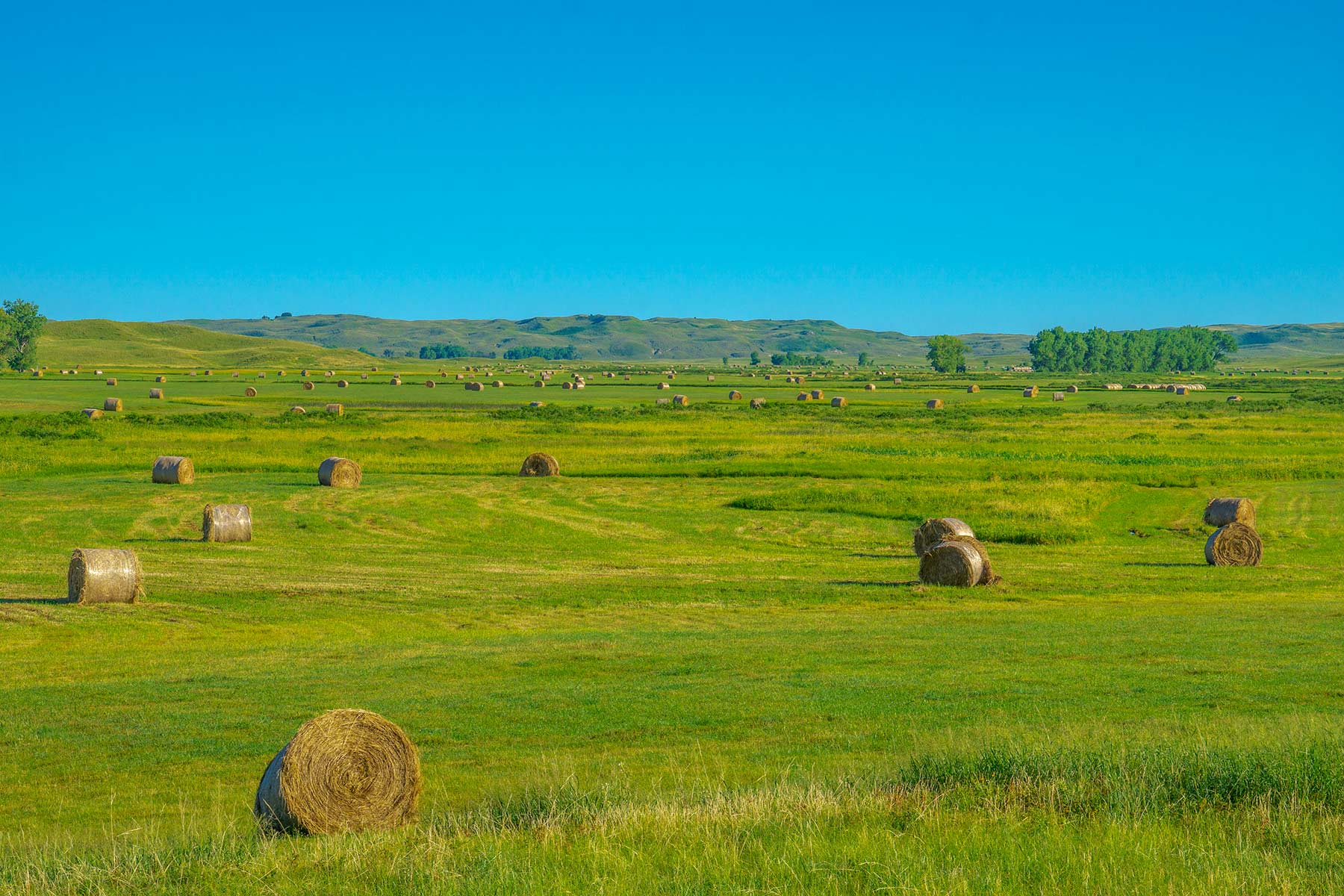 Duck Bar Ranch property picture 129 of 140