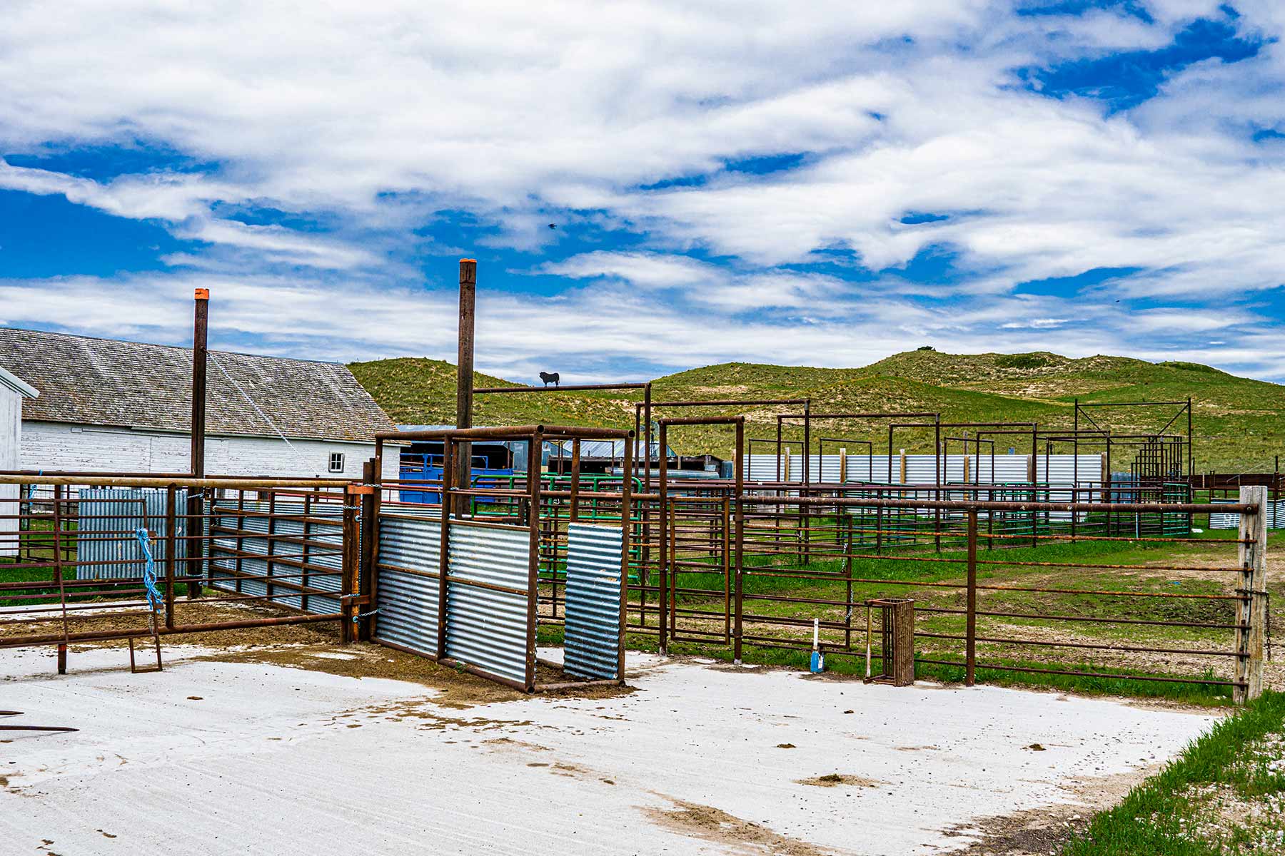Duck Bar Ranch property picture 52 of 140