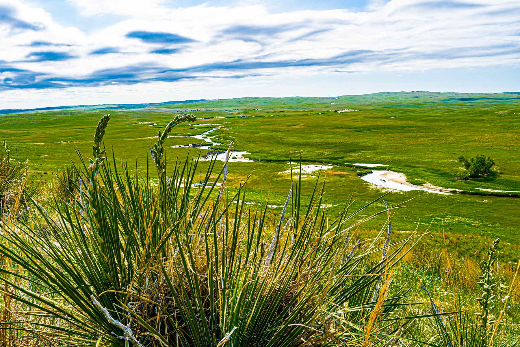 Duck Bar Ranch property picture 68 of 140