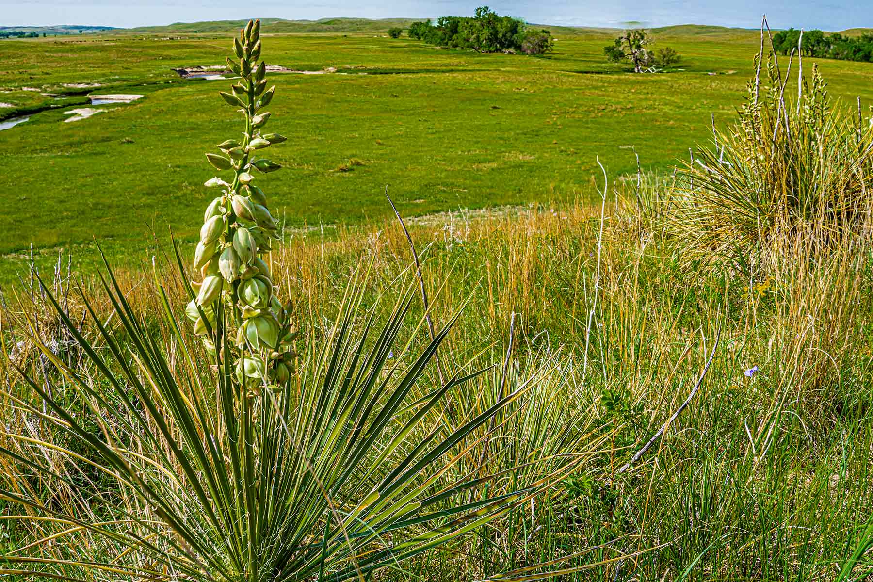 Duck Bar Ranch property picture 127 of 140