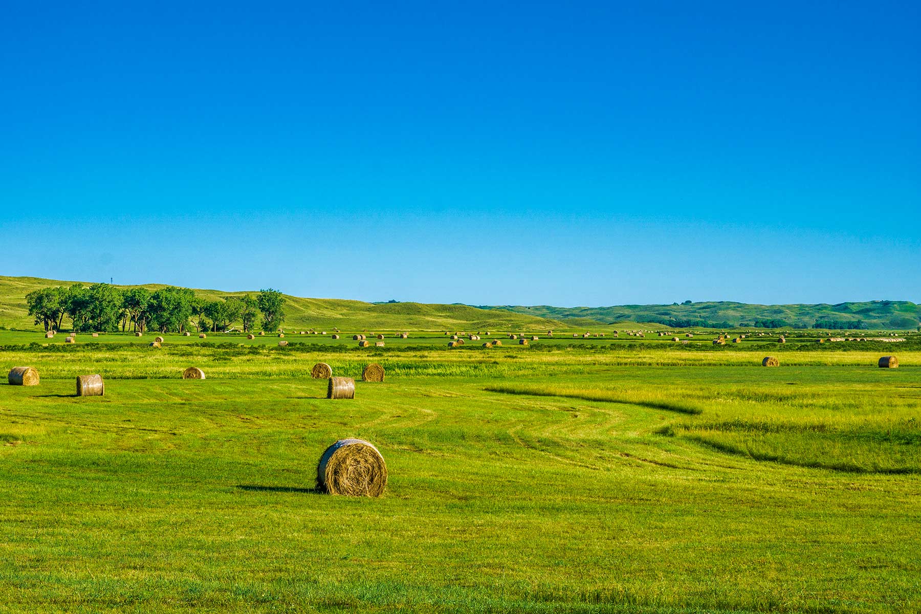 Duck Bar Ranch property picture 128 of 140