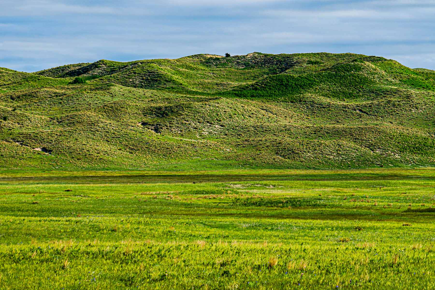 Duck Bar Ranch property picture 119 of 140