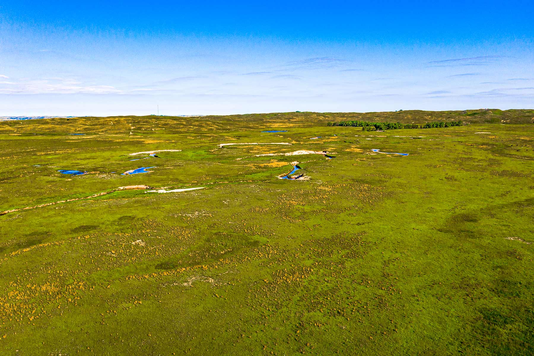 Duck Bar Ranch property picture 58 of 140