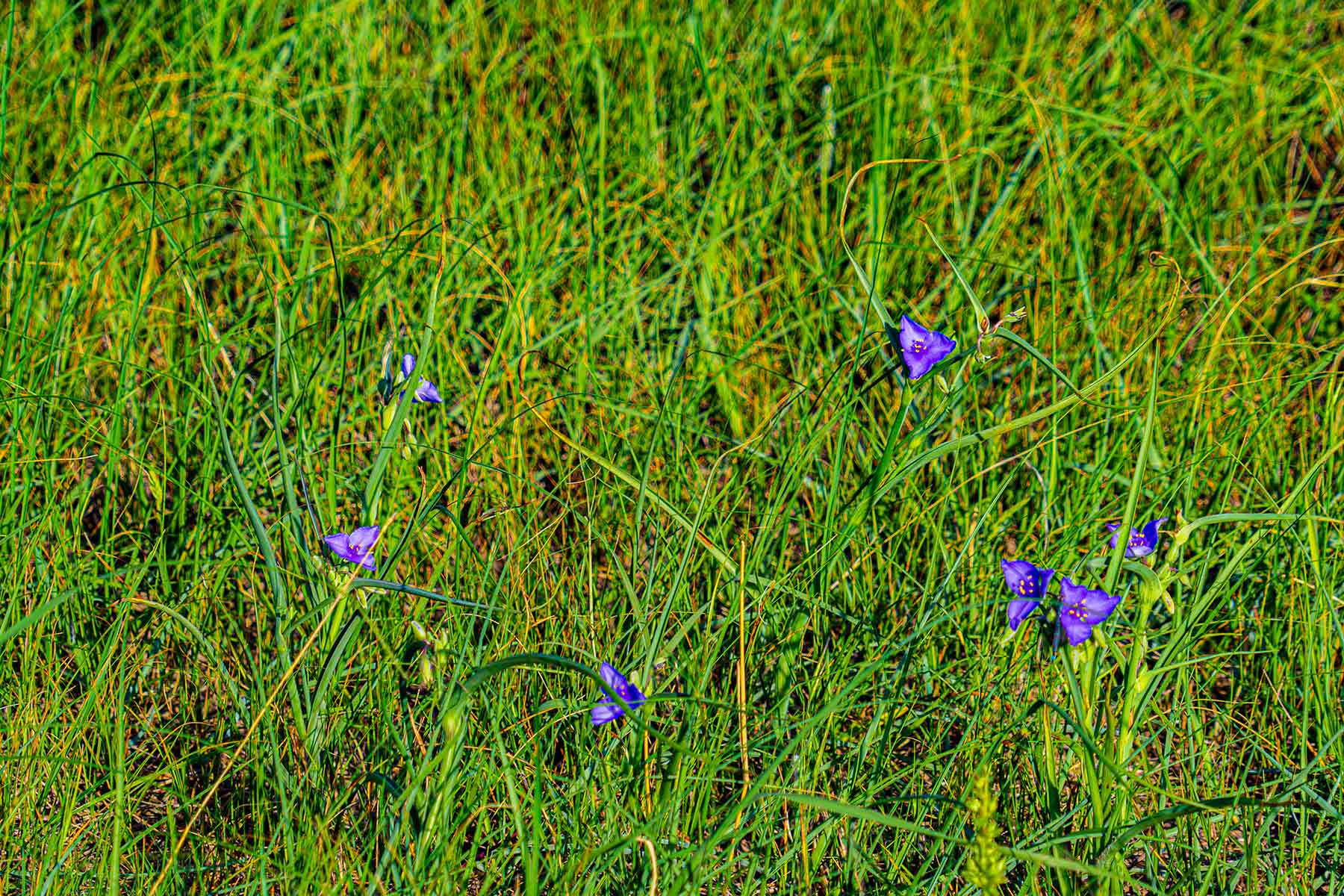 Duck Bar Ranch property picture 79 of 140
