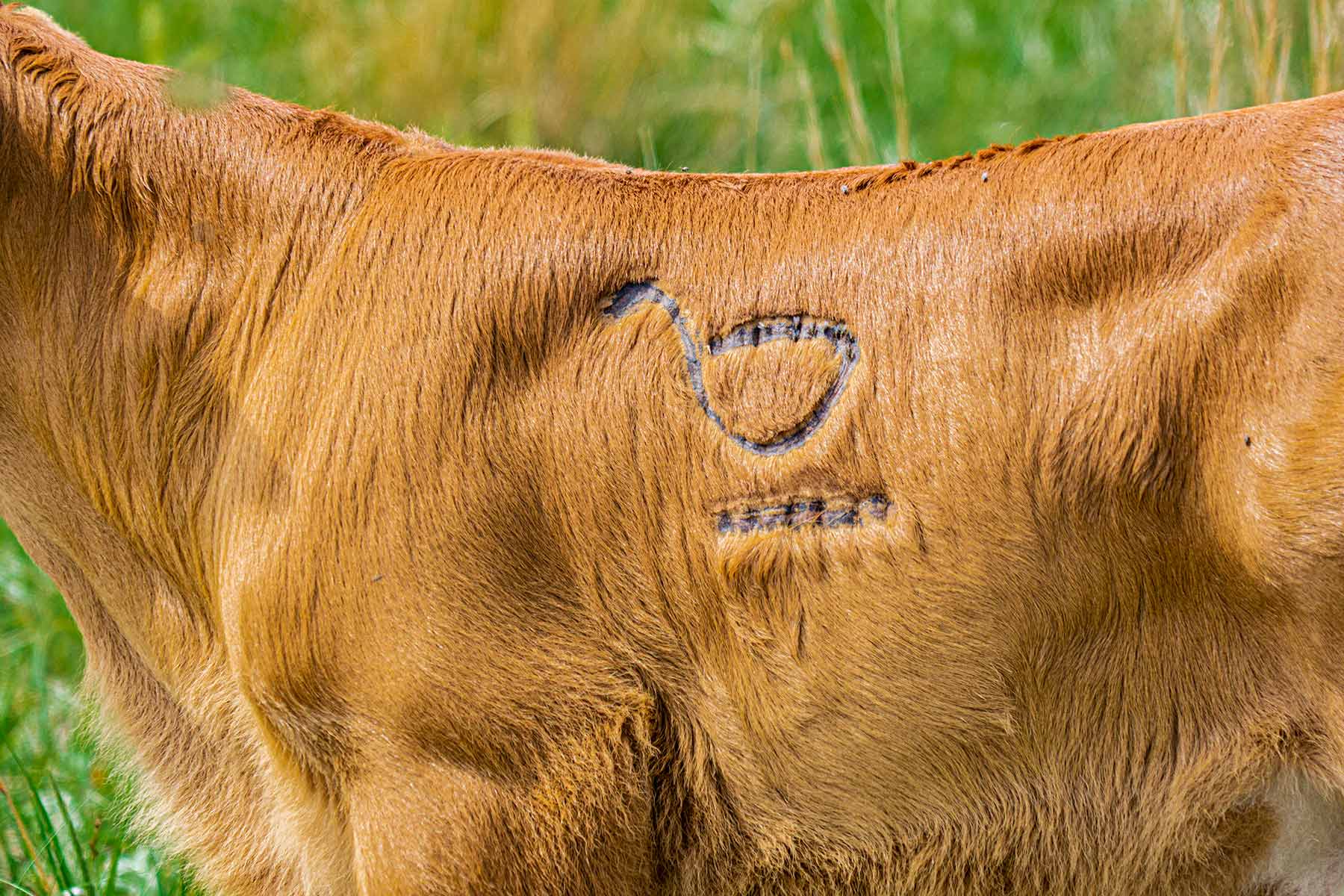 Duck Bar Ranch property picture 23 of 140