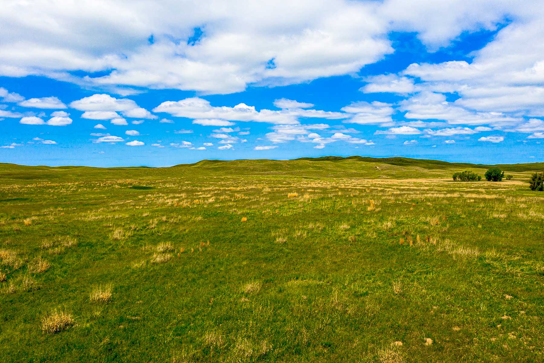 Duck Bar Ranch property picture 78 of 140