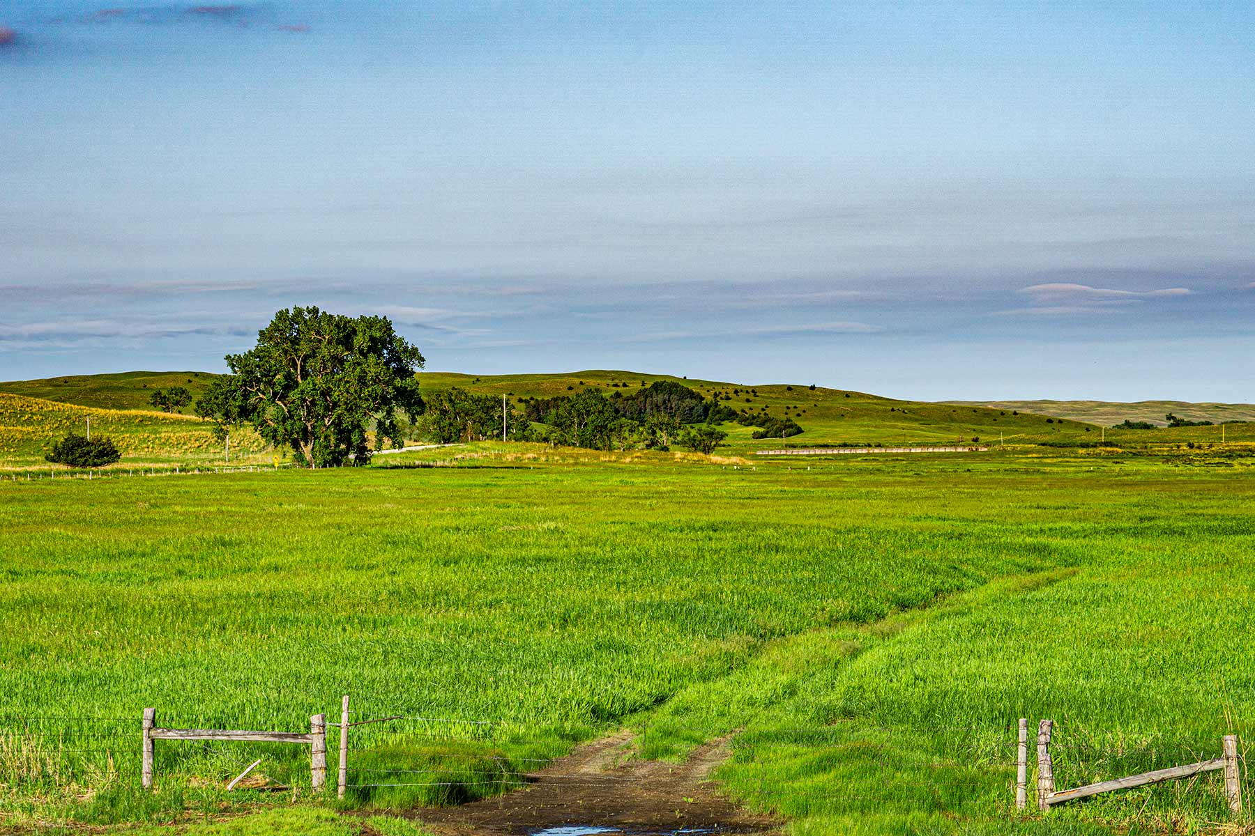 Duck Bar Ranch property picture 85 of 140