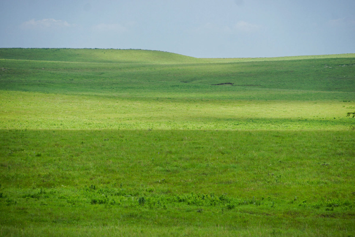Crocker Springs Ranch property picture 16 of 39