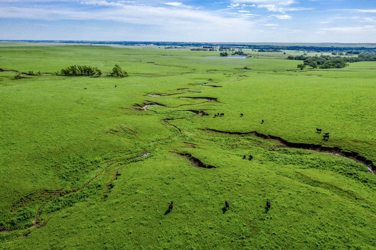 Crocker Springs Ranch property picture 32 of 39