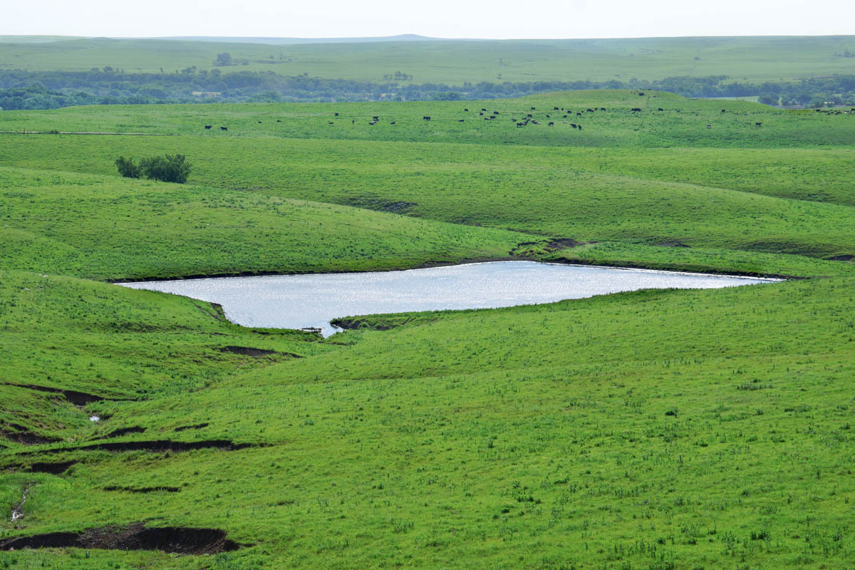 Crocker Springs Ranch property picture 26 of 39