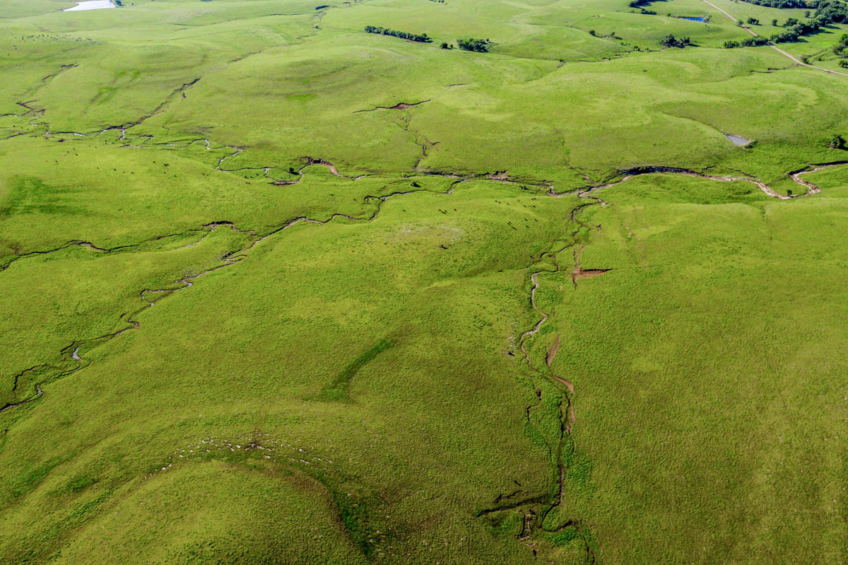 Crocker Springs Ranch property picture 29 of 39
