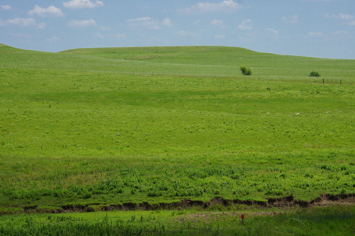 Crocker Springs Ranch property picture 11 of 39