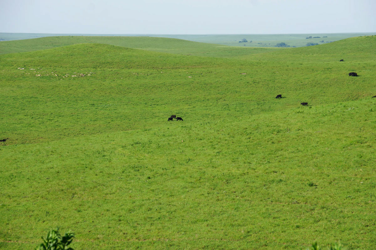 Crocker Springs Ranch property picture 17 of 39